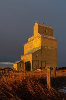 Herronton, Alberta - 21 Kasım 2020 Herronton 'un eski buğday havuzu asansörü.