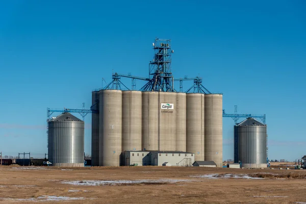 Лифт Cargill Grain Пределами Карселанда Зимой — стоковое фото