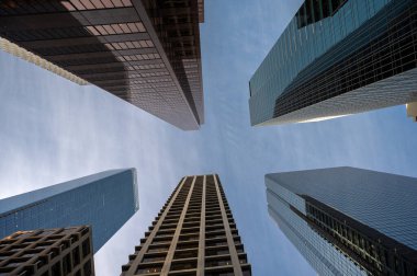 Calgary Alberta 'daki ofis kulelerine bakıyorum..
