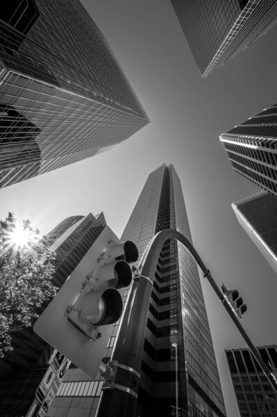 Looking up at office towers. Black and White.