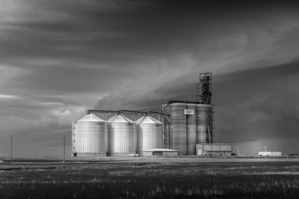 Modern Grain Elevator Alberta — Stock Photo, Image