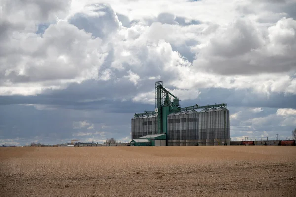 Blackie Alberta May 2021 Gargill Grain Elevator Blackie Alberta — Stock Photo, Image