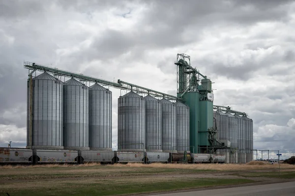 Blackie Alberta Maj 2021 Gargill Spannmålshiss Blackie Alberta — Stockfoto