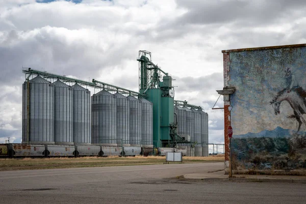 Blackie Alberta May 2021 Gargill Grain Elevator Blackie Alberta — Stock Photo, Image