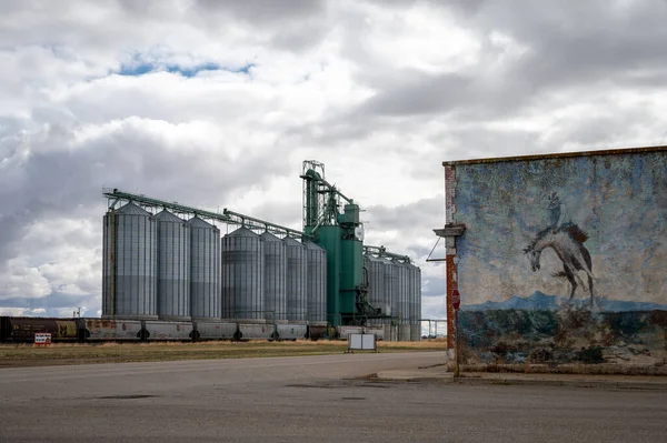 Blackie Alberta Mei 2021 Gargill Graanlift Blackie Alberta — Stockfoto