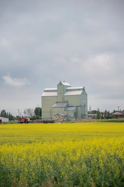 Three Hills Alberta July 2021 Old Alberta Wheat Pool Grain — стокове фото