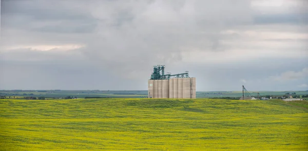 Trochu Alberta Липня 2021 Largeg Vitera Cement Grain Terminal Біля — стокове фото