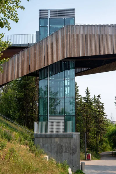 Edmonton Alberta July 2021 Elevated Walkway Edmonton River Valley — Stock Photo, Image