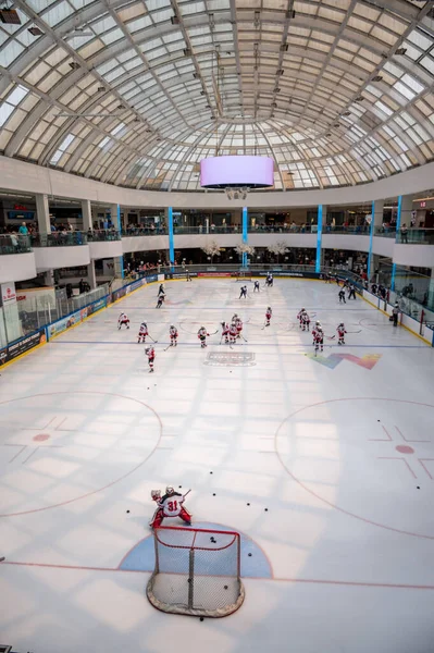 Edmonton Alberta Agosto 2021 Hockey Sobre Hielo West Edmonton Mall — Foto de Stock