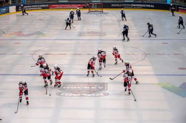 Edmonton Alberta August 2021 Ice Hockey West Edmonton Mall Ice — Stock Photo, Image