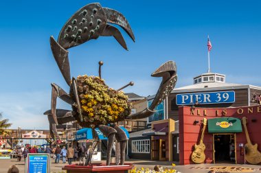 Pier 39 fisherman's wharf