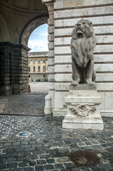 Lion Statue, Buda Castle — Stock Photo, Image