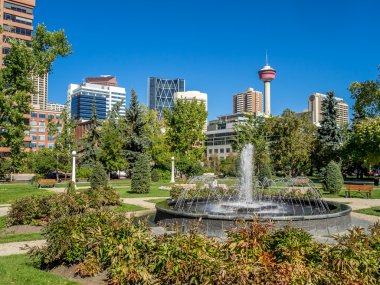 Memorial park Calgary