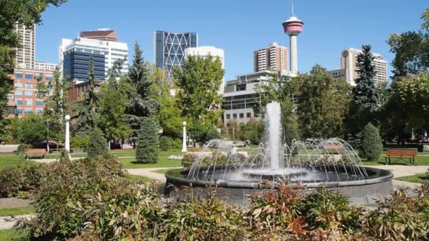 Memorial Park in Calgary — Stockvideo
