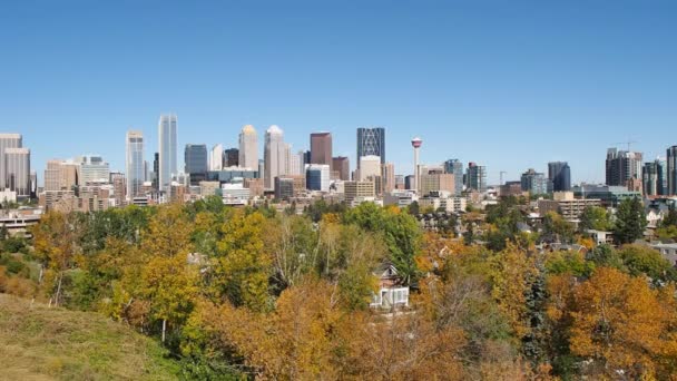 Calgary skyline — Stockvideo