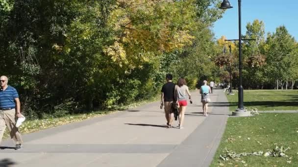 People enjoying Calgary's pathway system — Stock Video