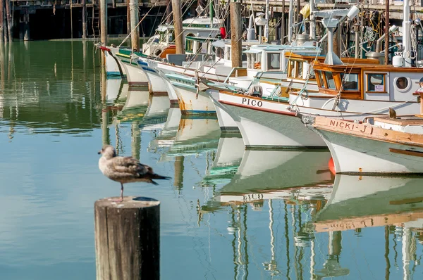 Fishing boats, San Francisco — Stock Photo, Image