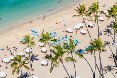 Ünlü Waikiki Beach