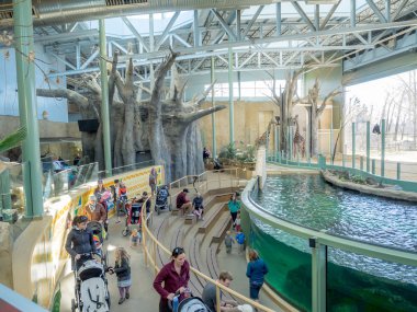 Calgary hayvanat bahçesi içinde