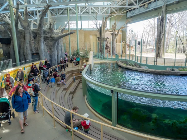 Inside the Calgary Zoo — Stock Photo, Image