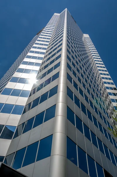 Skyscrapers in Edmonton — Stock Photo, Image