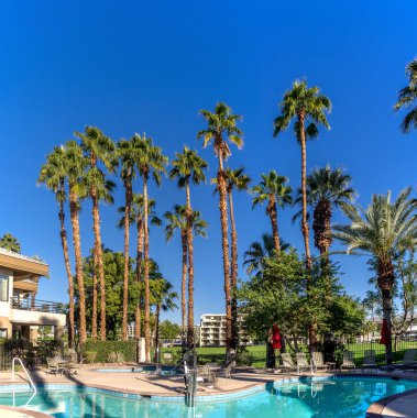 Palm Desert Resort Yüzme Havuzu