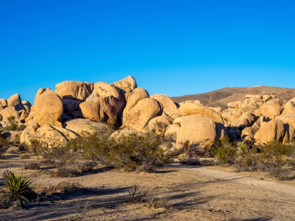 Krajina v národním parku joshua tree — Stock fotografie