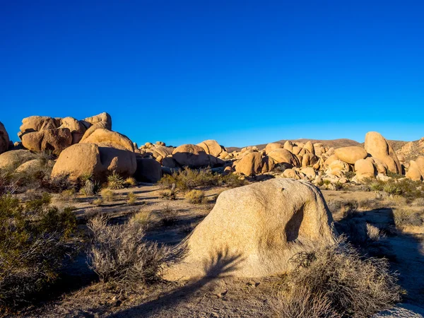 Krajina v národním parku joshua tree — Stock fotografie