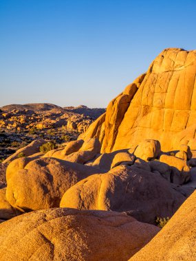 Joshua Tree National Park içinde gün batımında Jumbo kayalar