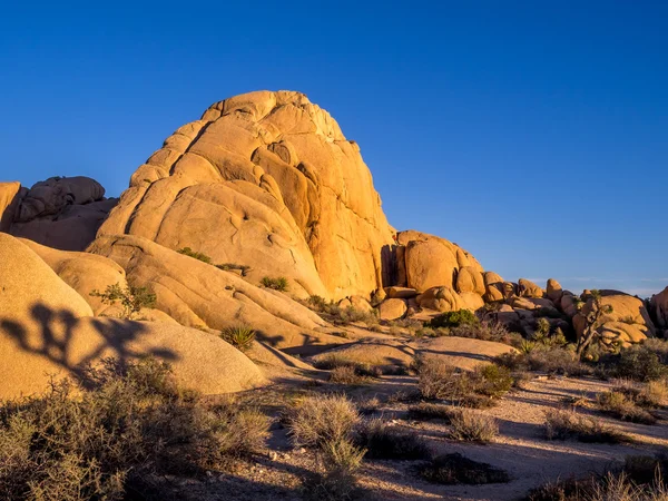 Obří skály v Joshua Tree National Park — Stock fotografie