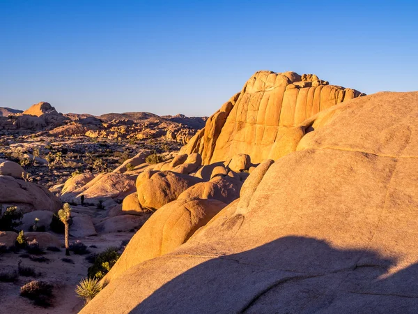 Jumbo Rocks at sunset  in Joshua Tree National Park — Stock Photo, Image