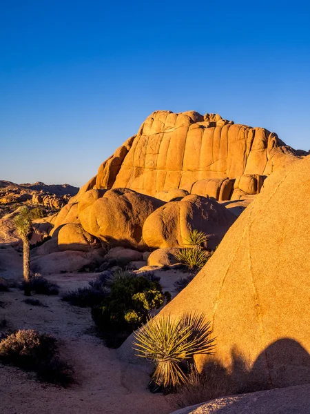 Jumbo Rocks at sunset  in Joshua Tree National Park — Stock Photo, Image