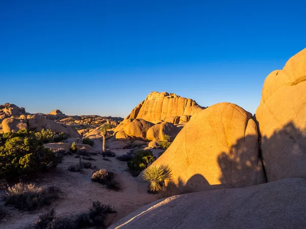 Obří skály při západu slunce v Joshua Tree National Park — Stock fotografie