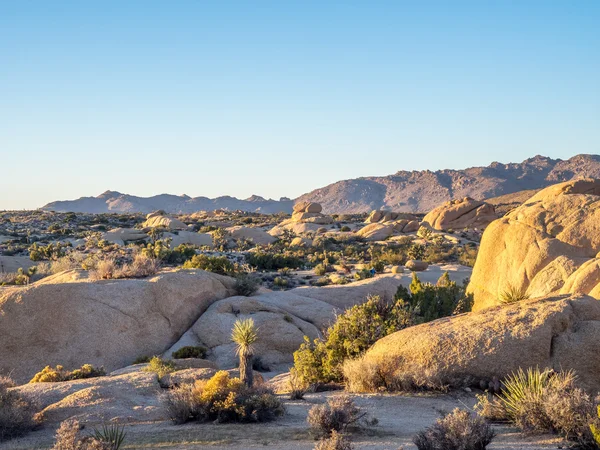 Jumbo Rocks ao pôr-do-sol no Parque Nacional Joshua Tree — Fotografia de Stock