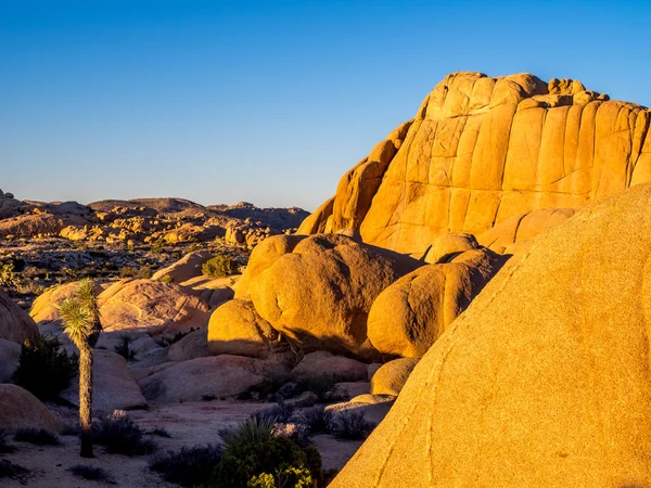 Obří skály při západu slunce v Joshua Tree National Park — Stock fotografie