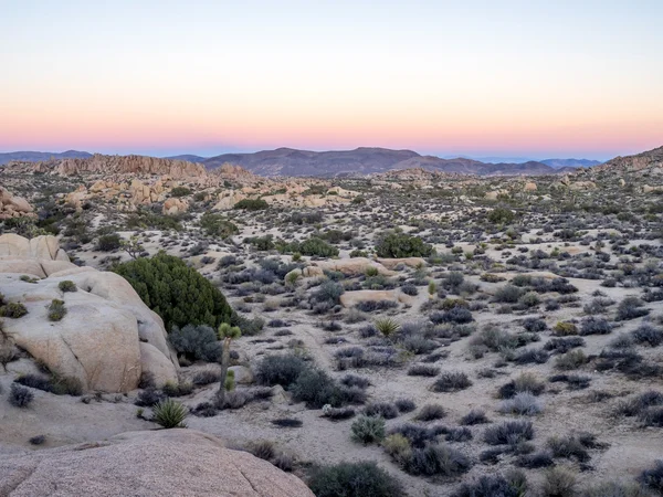 Jumbo Rocks ao pôr-do-sol no Parque Nacional Joshua Tree — Fotografia de Stock