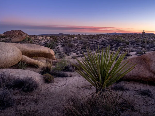 Jumbo Rocks au coucher du soleil dans le parc national Joshua Tree — Photo