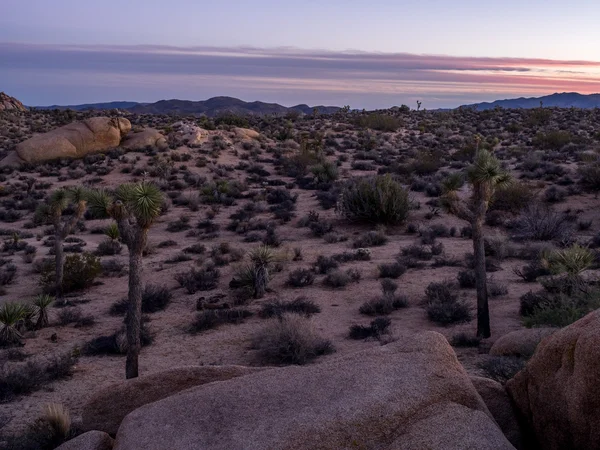 Obří skály při západu slunce v Joshua Tree National Park — Stock fotografie