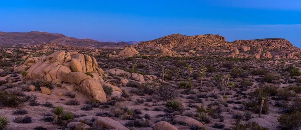 Jumbo Rocks la apusul Lunii în Joshua Tree National Park — Fotografie, imagine de stoc