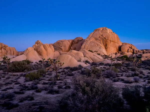 巨型岩石在日落在约书亚树国家公园 — 图库照片