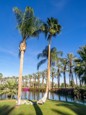 Palm Desert Kaliforniya Golf Sahası