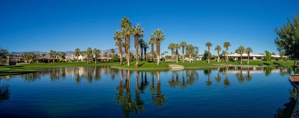 Поле для гольфу в Palm Desert Каліфорнії — стокове фото