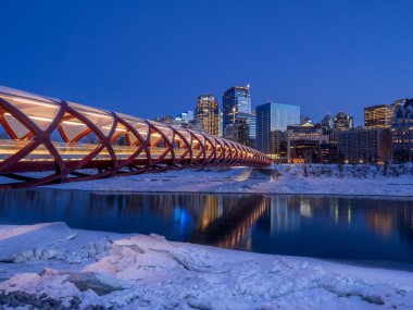 Calgary manzarası, gece