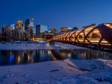 Calgary manzarası, gece
