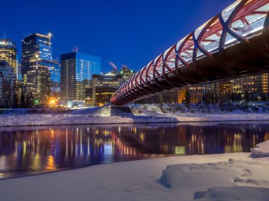 Calgary manzarası, gece