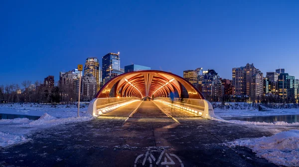 Calgary skyline w nocy — Zdjęcie stockowe