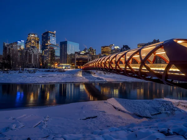 Calgary manzarası, gece — Stok fotoğraf