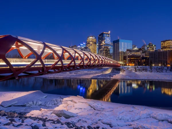 Calgary skyline à noite — Fotografia de Stock