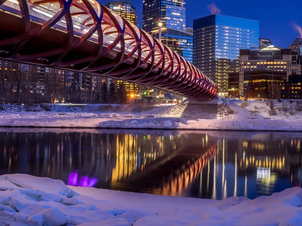 Calgary Panorama v noci — Stock fotografie