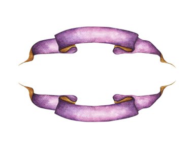 Suluboya kurdeleler hazır. Metin için şerit ya da pankart. Suluboya tasarım elementleri.